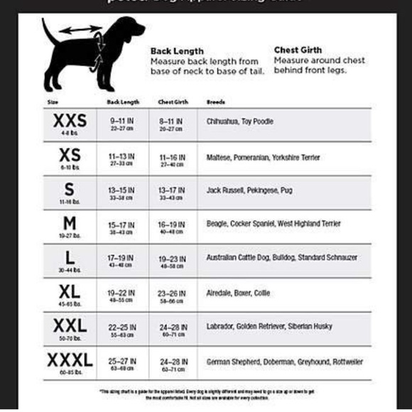 DOG 🐶 COSTUME 🎉2X HP🎉Toast of the Town Halloween - Picture 3 of 3